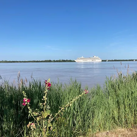 Grand Duplex Avec Terrasse Au Coeur De *