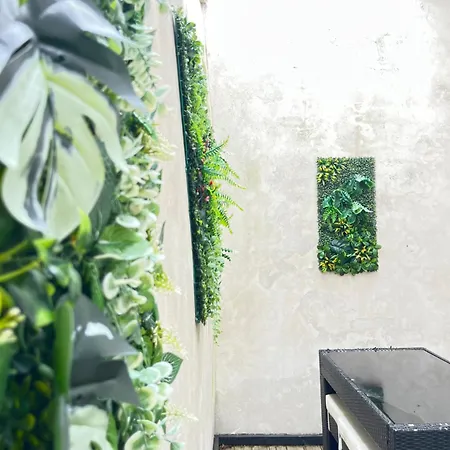 Grand Duplex Avec Terrasse Au Coeur De *
